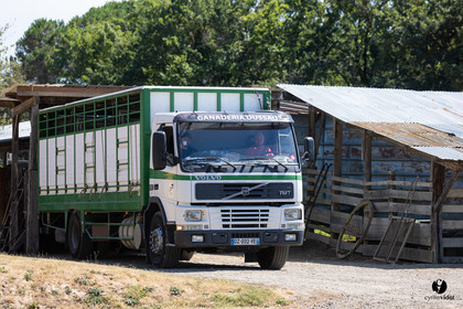 Course landaise à Panjas