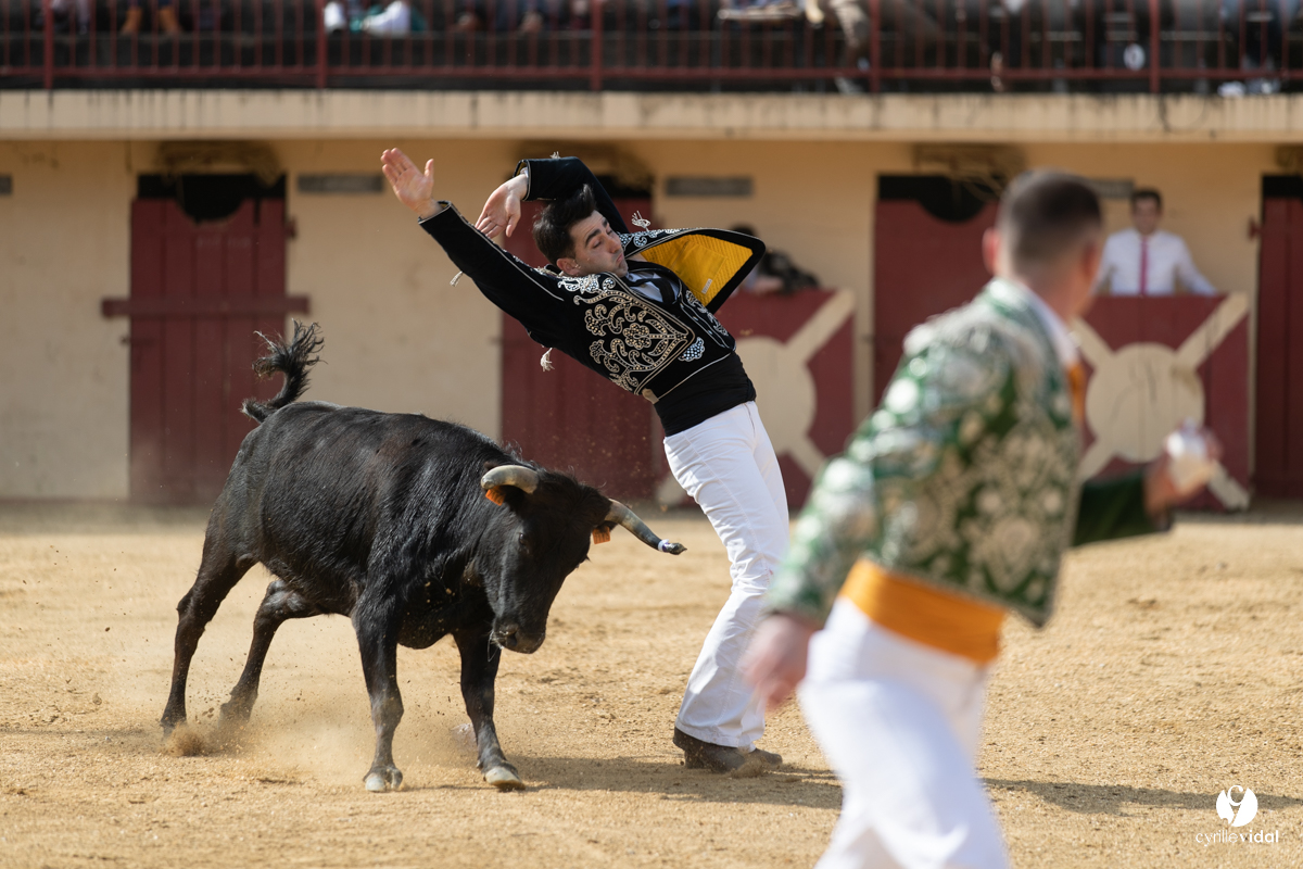 Course landaise Le Houga Ganadéria Dussau Cuadrilla Alexandre Brethes