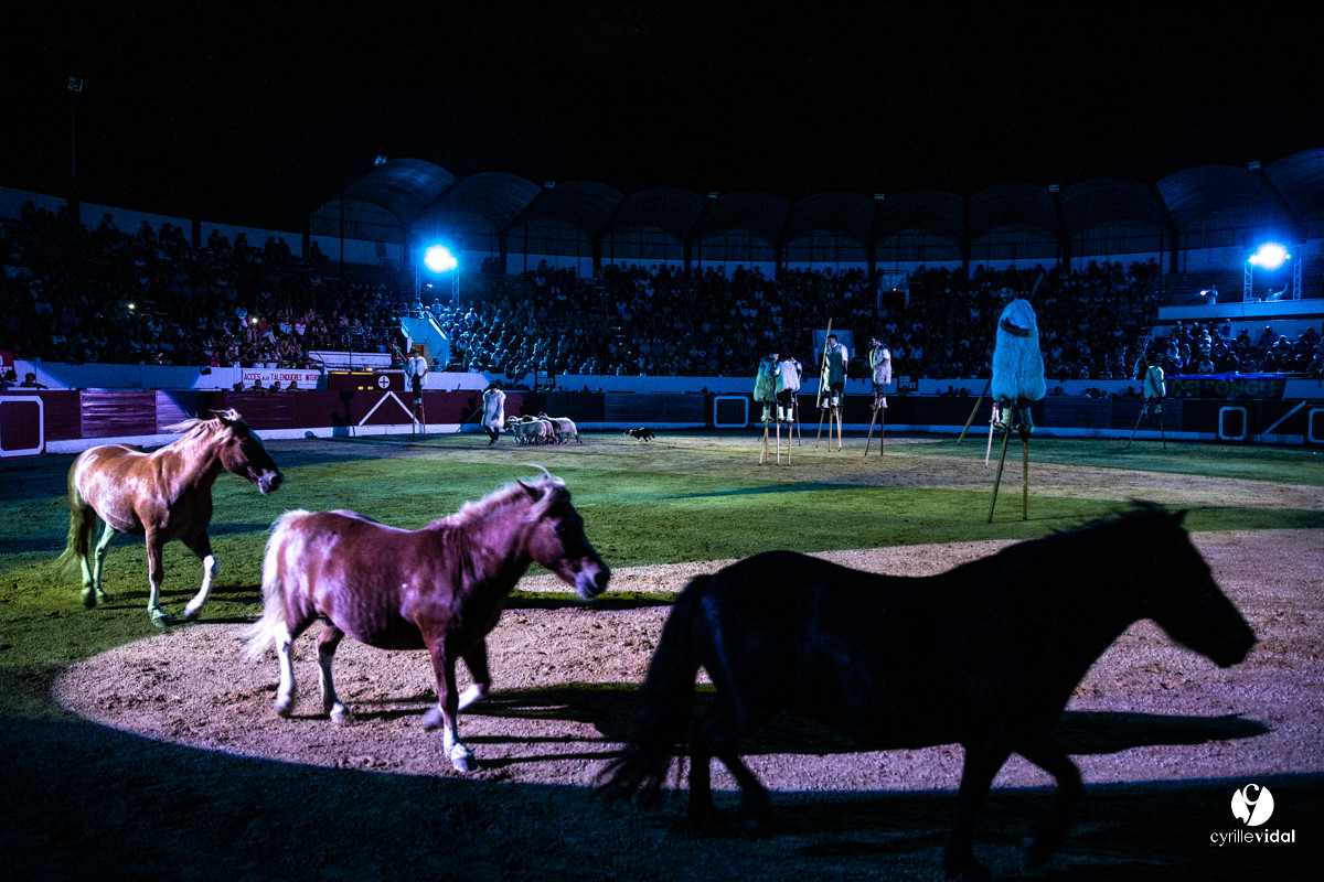 Landes émotions à Aire-sur-l'Adour