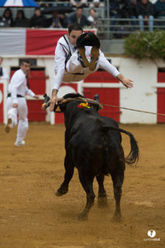 Nogaro Championnatde France de Course Landaise 2017