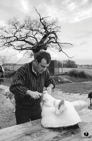 Jours de pelère