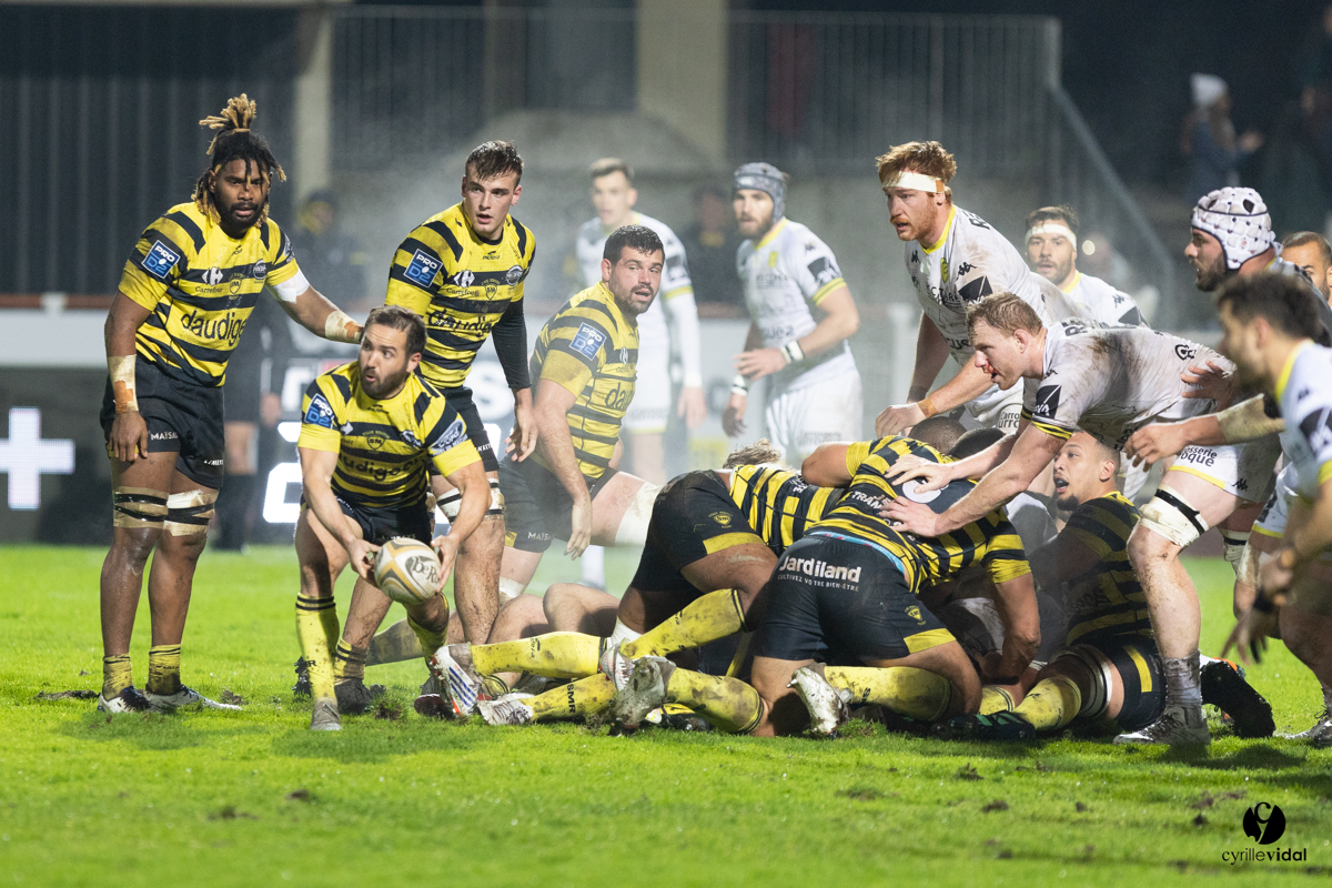 Stade Montois Rugby - Carcassonne
