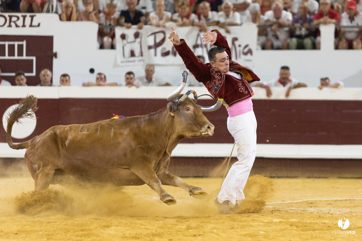 Dax concours landais 2022