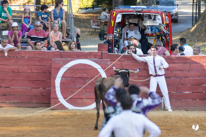 Course landaise à Panjas
