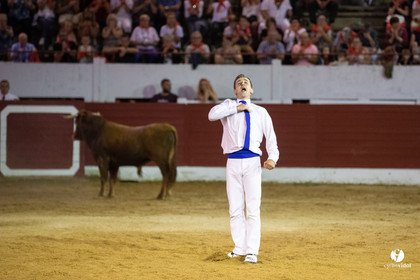 Landes émotions à Aire-sur-l'Adour