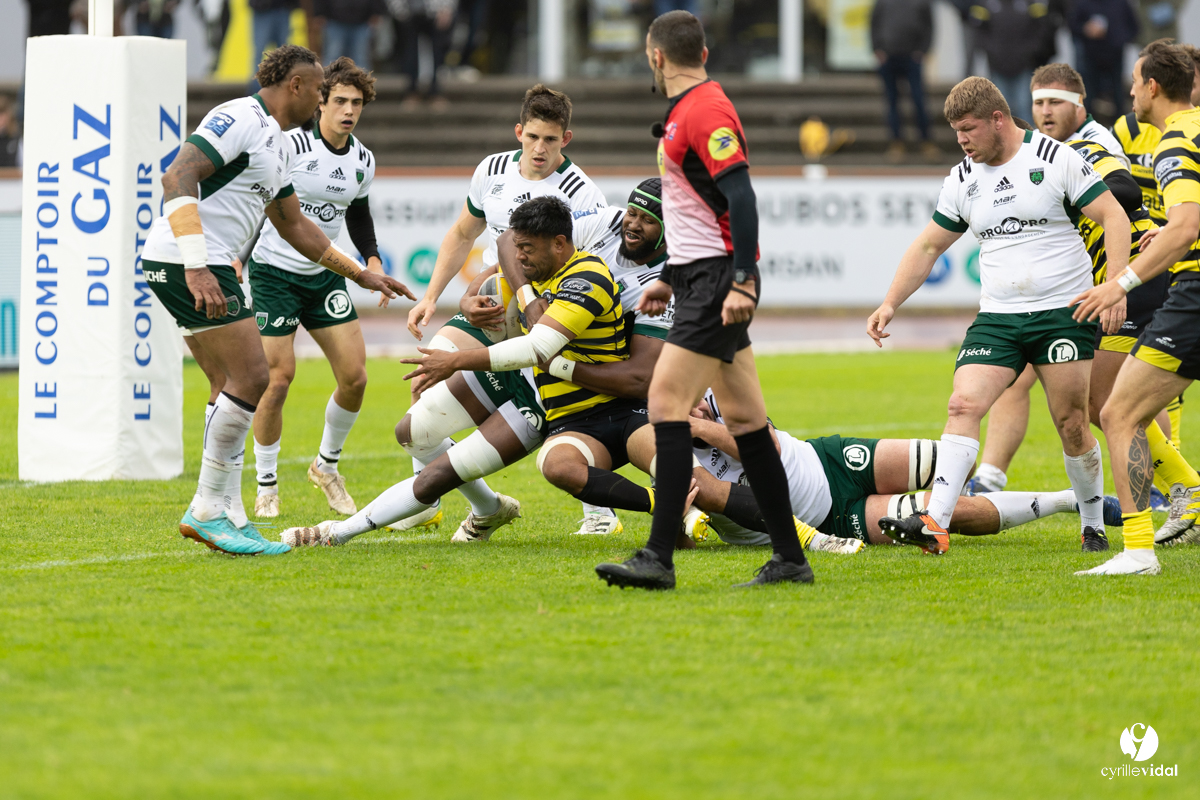 Stade Montois Rugby - Montauban
