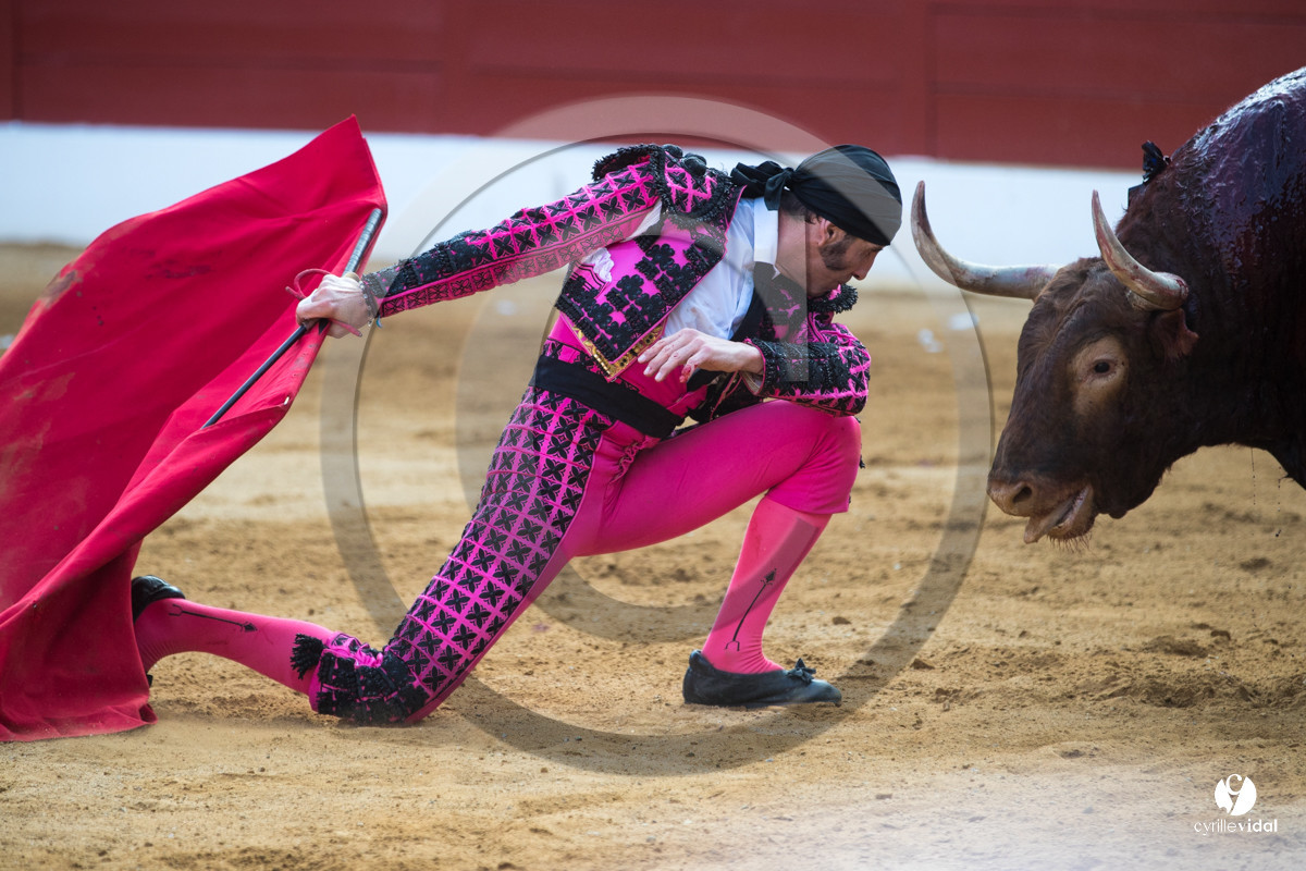 Mont-de-Marsan corrida de Jandilla pour Padilla - Talavante - Roca Rey