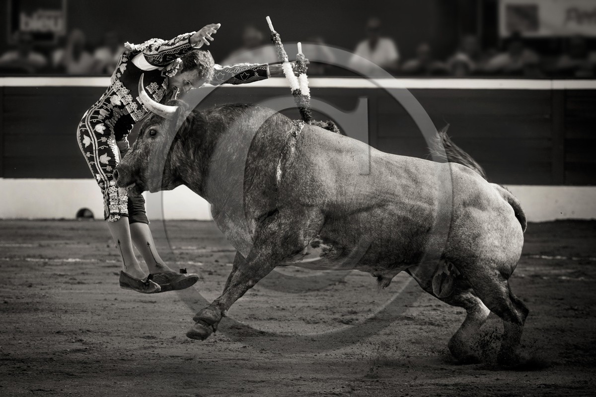 2014-07-17-2354 NB.jpg