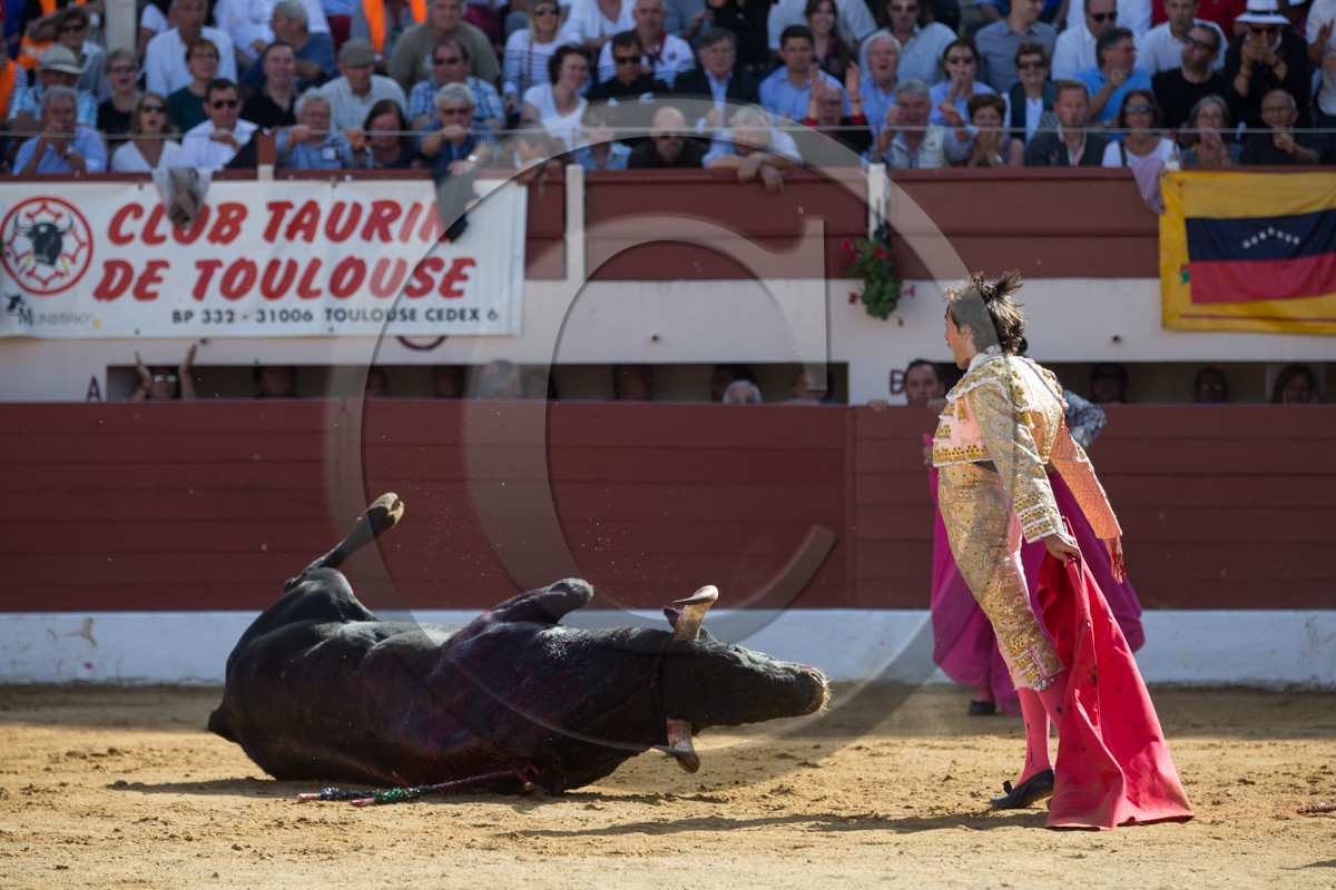 corrida, toro, vic fezensac, alcurrucen, michelito, morenito de aranda