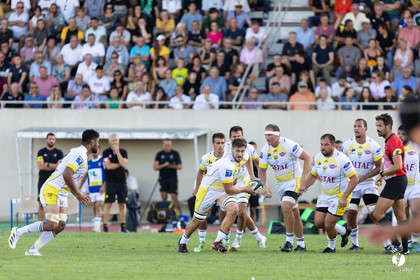 Stade Montois Rugby - Section Paloise