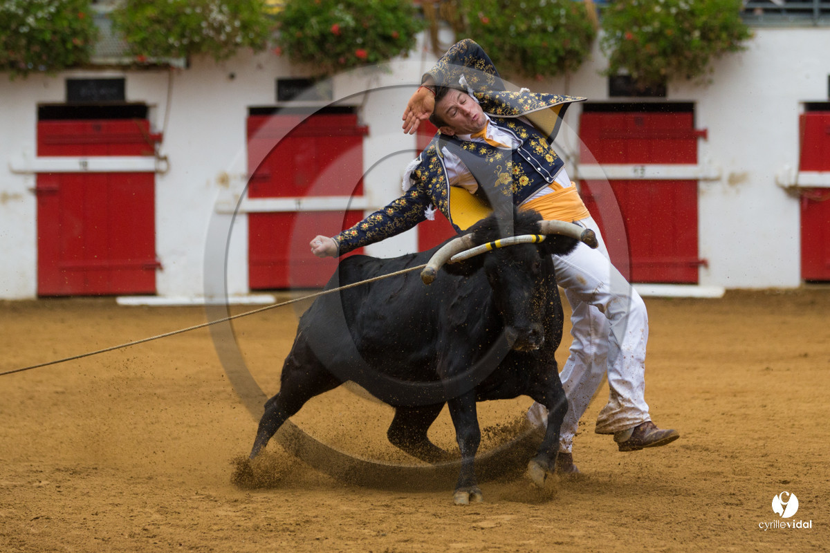 Nogaro Championnatde France de Course Landaise 2017