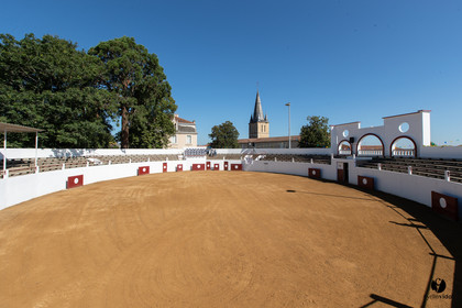 Saint-Cricq Chalosse course landaise de promotion Ganadéria Deyris Cuadrilla Jérémy Lafitte