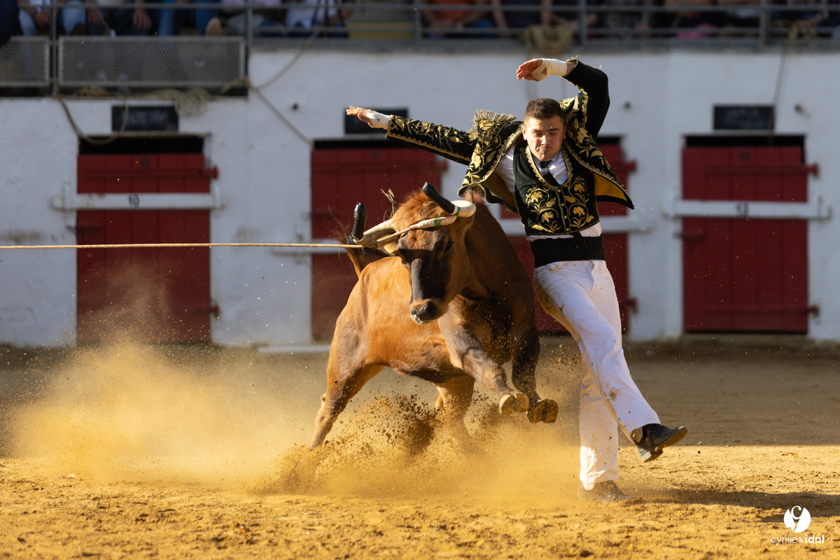 Nogaro Championnat de France de course landaise 2022