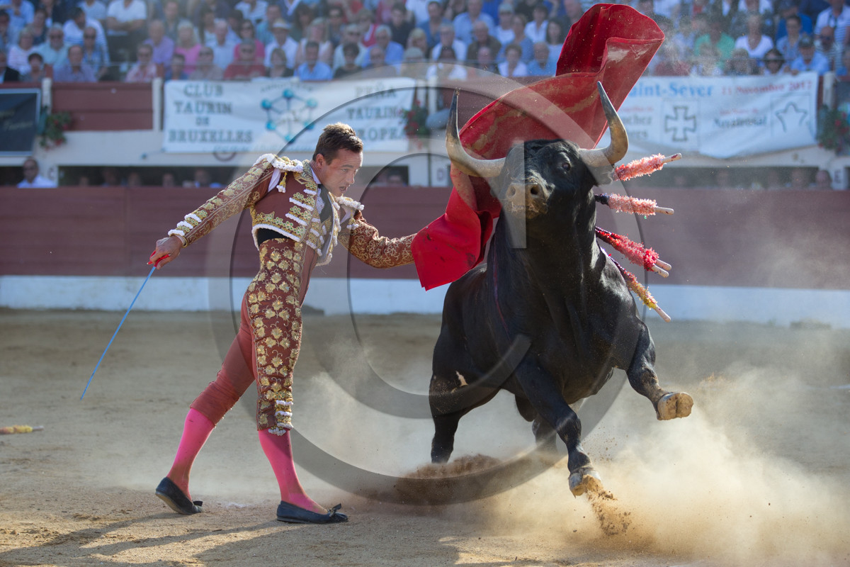 corrida, toro, vic fezensac, alcurrucen, michelito, morenito de aranda