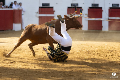Nogaro Championnat de France de course landaise 2022