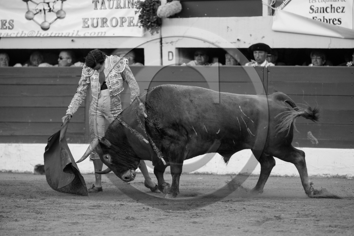 corrida, toro, vic fezensac, alcurrucen, michelito, morenito de aranda