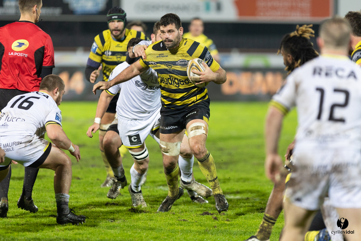 Stade Montois Rugby - Carcassonne