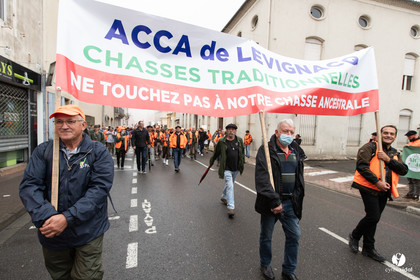 Manifestation chasses traditionnelles à Mont-de-Marsan