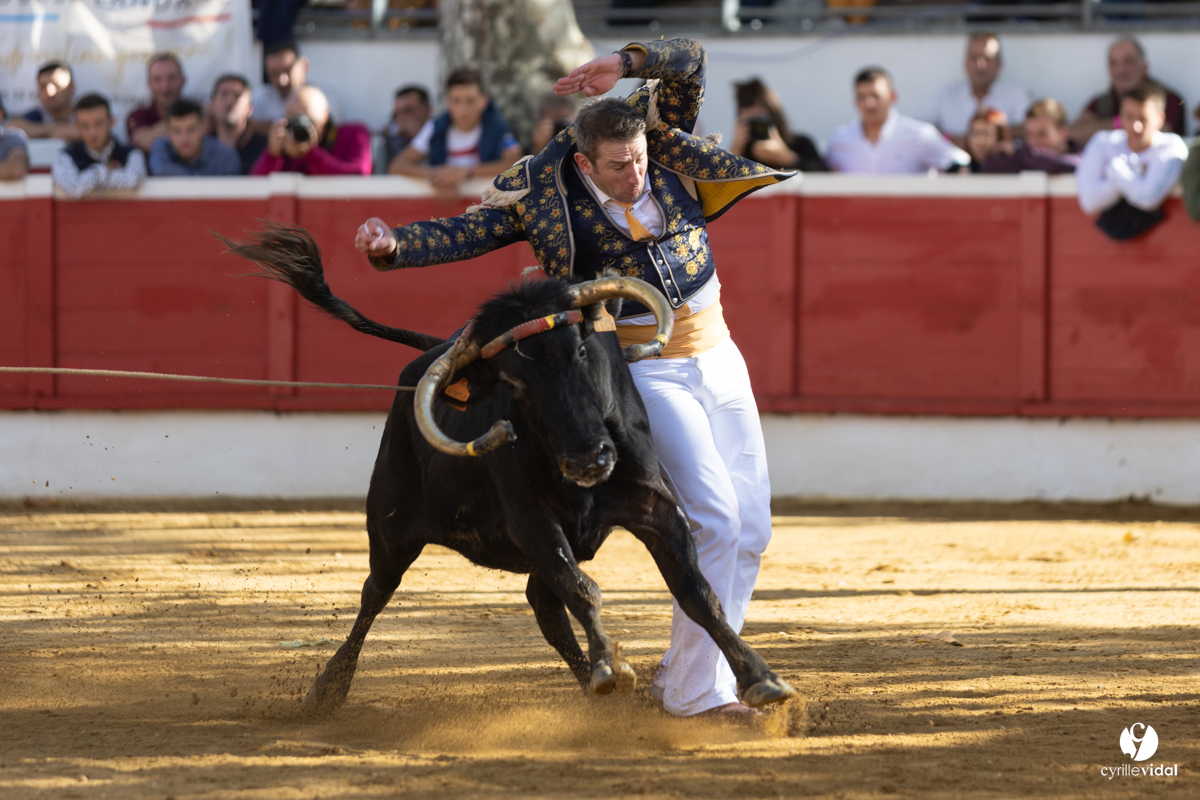 Nogaro Championnat de France de course landaise 2022