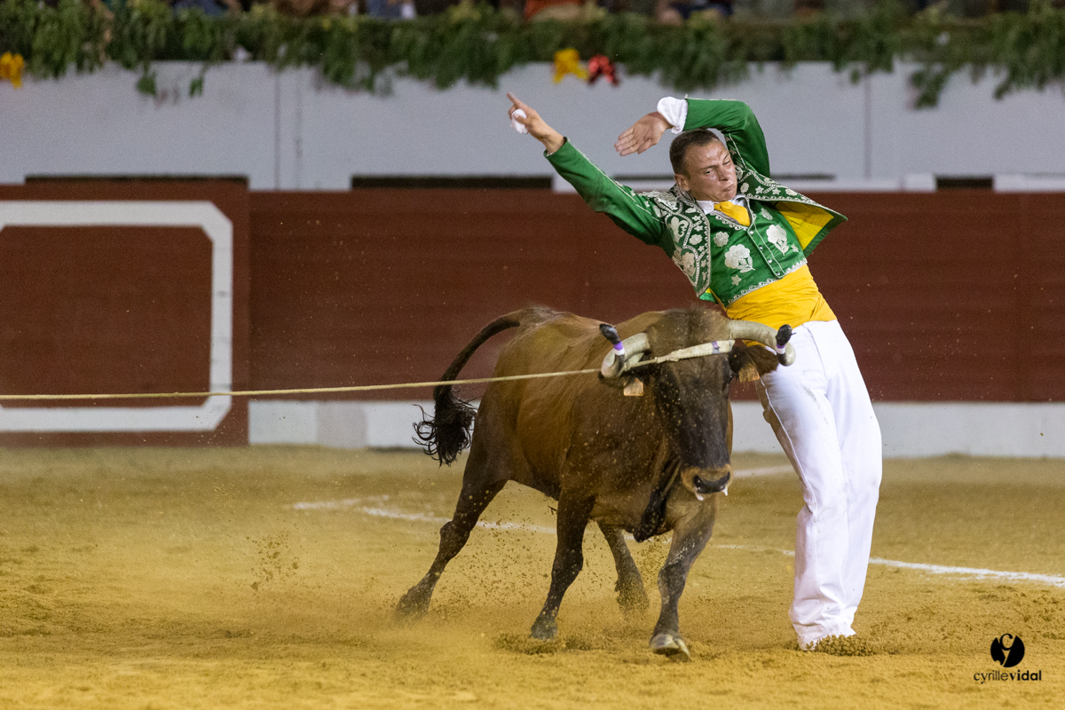 Aire sur l'Adour course landaise génération Aturine