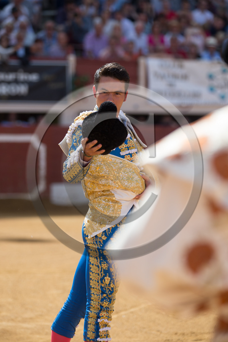 corrida, toro, vic fezensac, alcurrucen, michelito, morenito de aranda