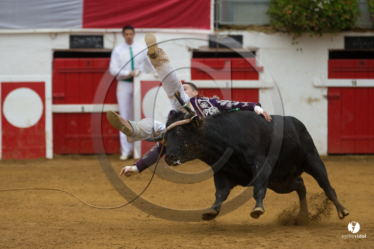 Nogaro Championnatde France de Course Landaise 2017