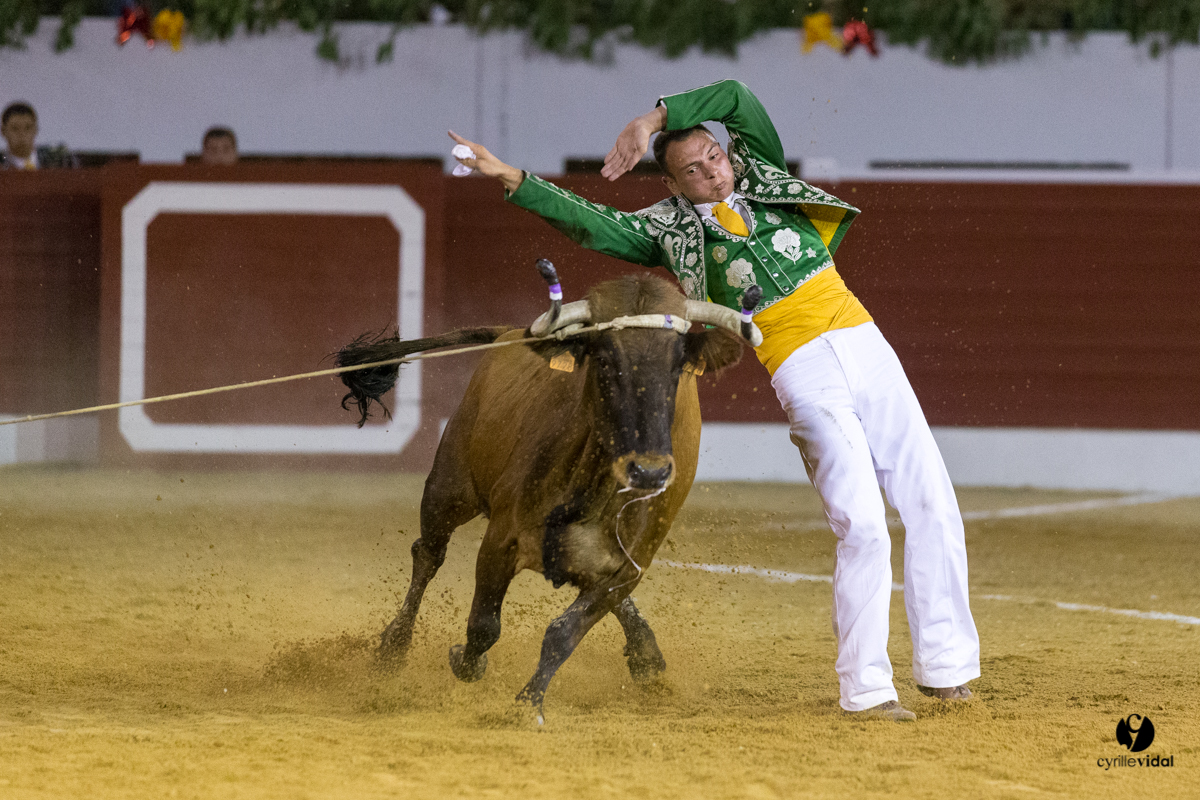 Aire sur l'Adour course landaise génération Aturine