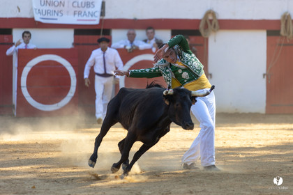 Course landaise à Panjas