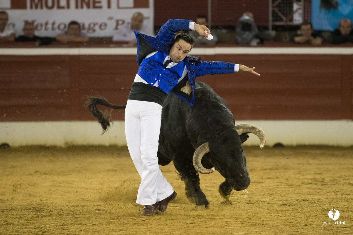 Mont-de-Marsan festival Art et Courage