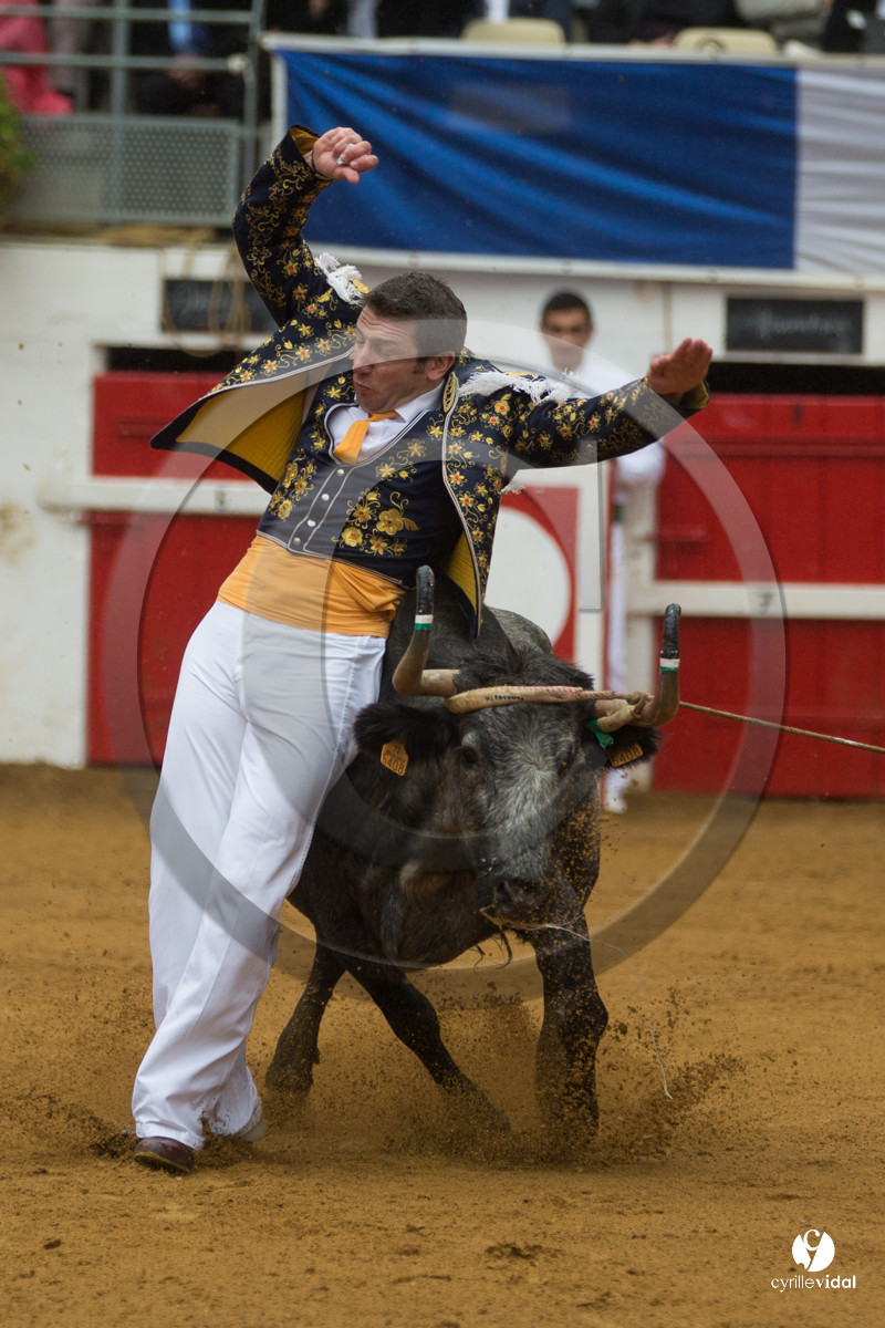 Nogaro Championnatde France de Course Landaise 2017