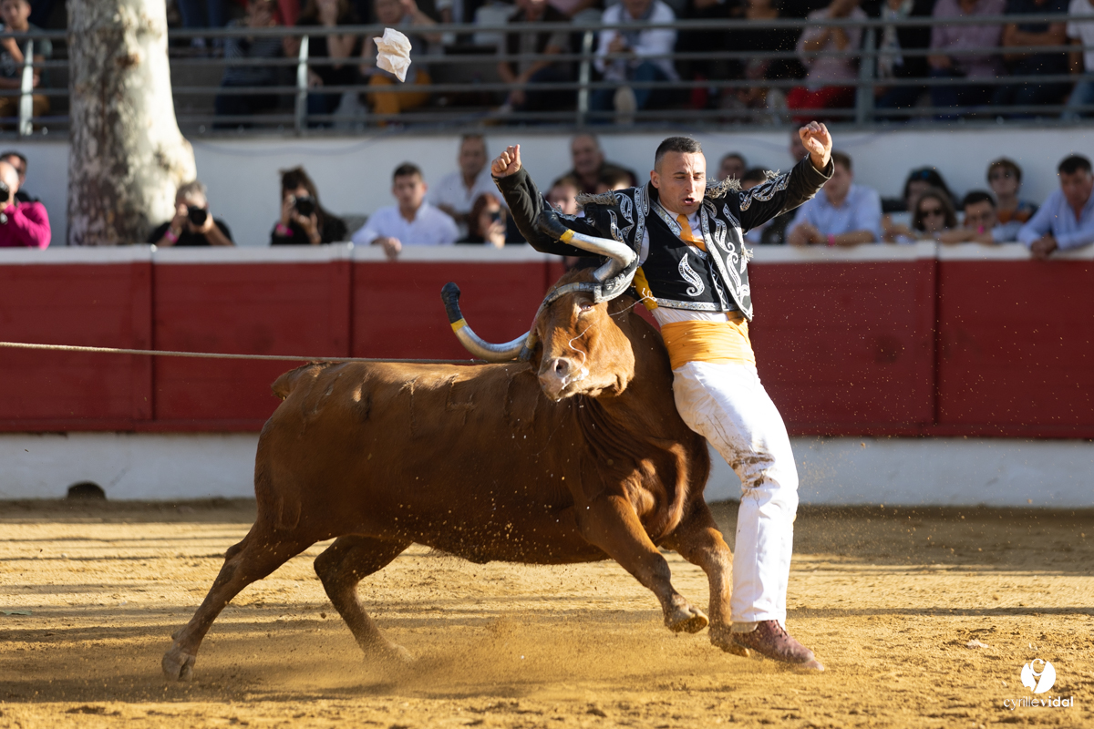 Nogaro Championnat de France de course landaise 2022