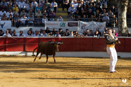 Nogaro Championnat de France de course landaise 2022