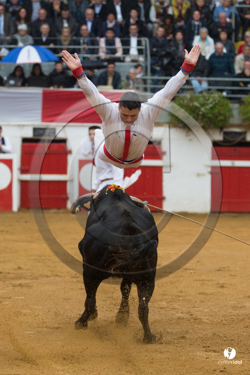 Nogaro Championnatde France de Course Landaise 2017