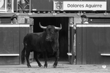 Mont-de-Marsan corrida de Dolores Aguirre pour Octavio Chacon - Pepe Moral - Juan Léal