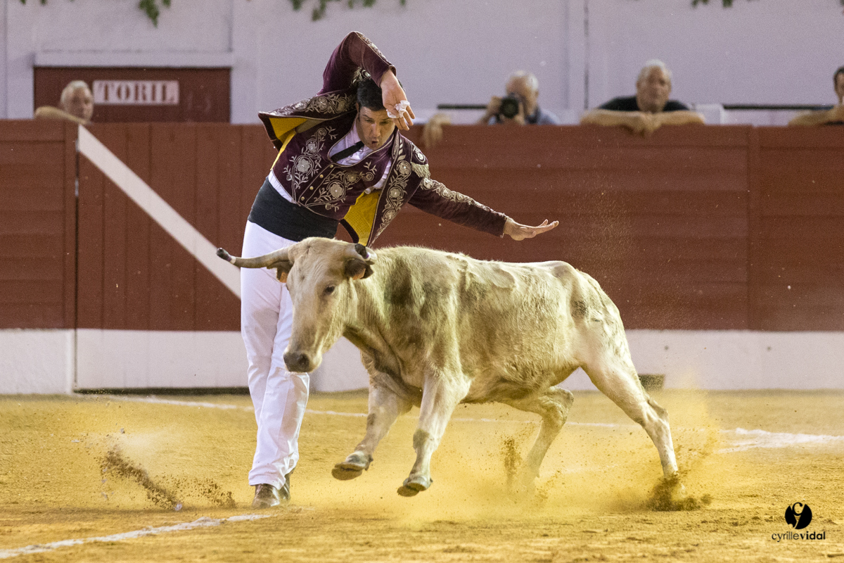 Aire sur l'Adour course landaise génération Aturine