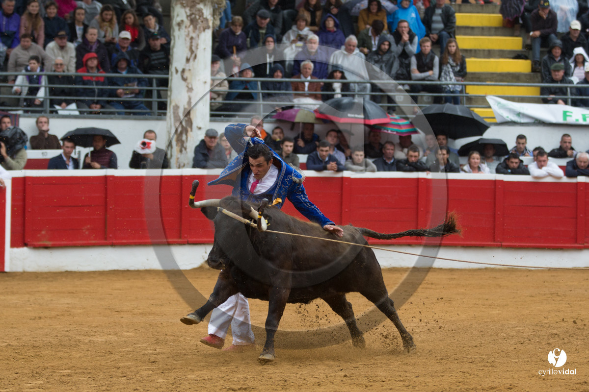 Nogaro Championnatde France de Course Landaise 2017