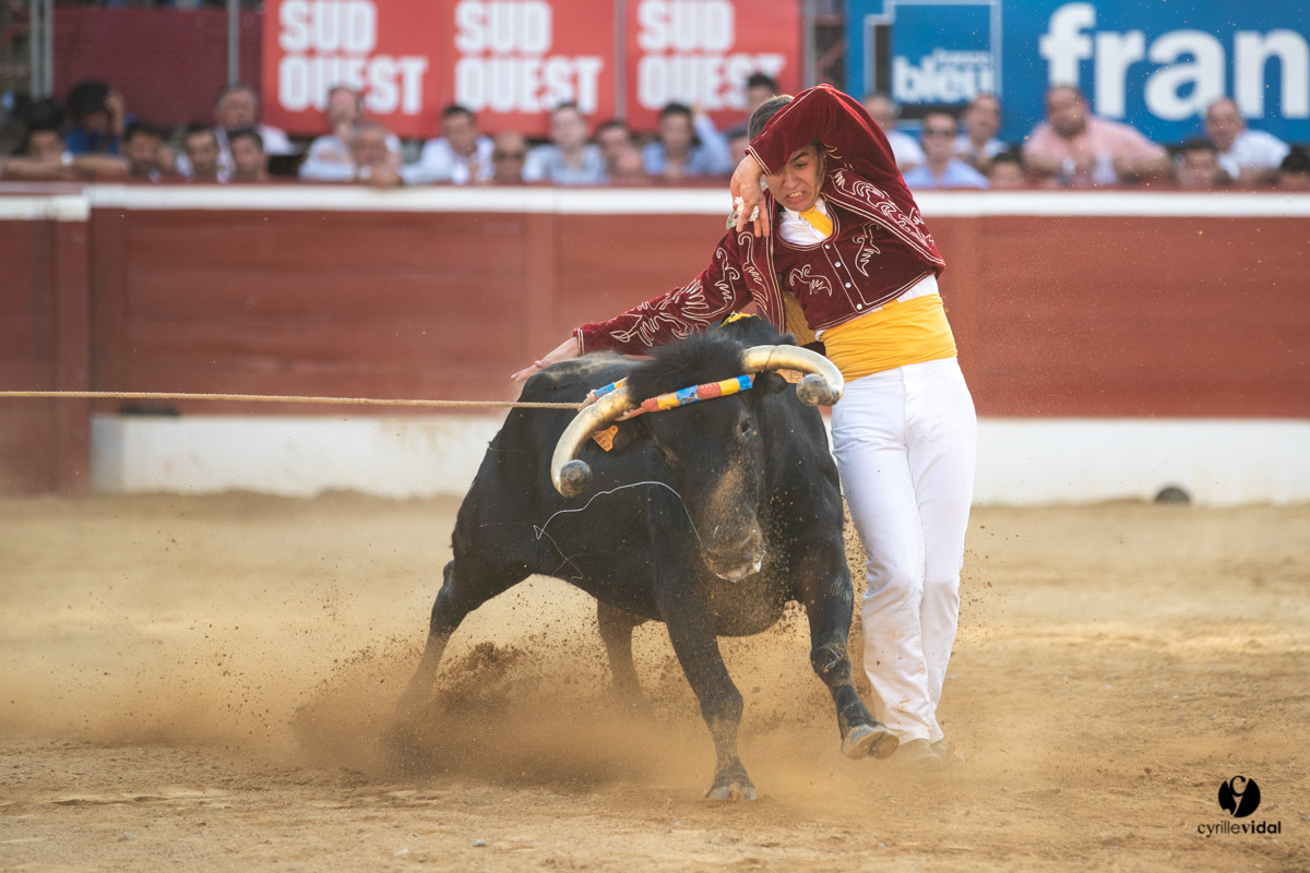 Mont-de-Marsan championnat de France de course landaise 2019