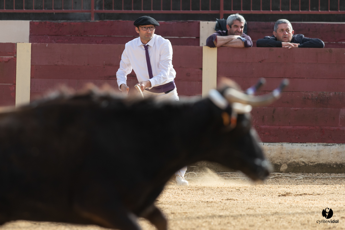 Course landaise Le Houga Ganadéria Dussau Cuadrilla Alexandre Brethes