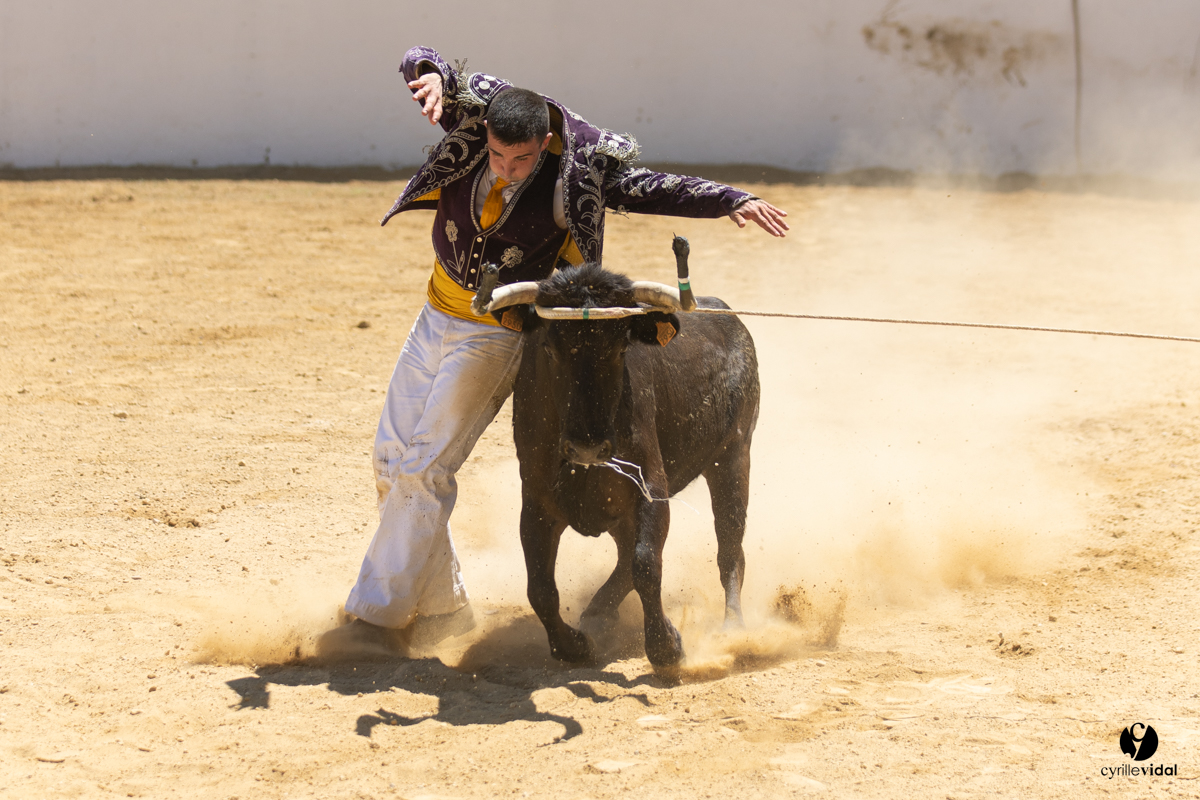 Saint-Cricq Chalosse course landaise de promotion Ganadéria Deyris Cuadrilla Jérémy Lafitte