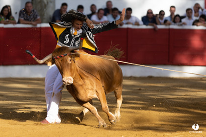 Nogaro Championnat de France de course landaise 2022