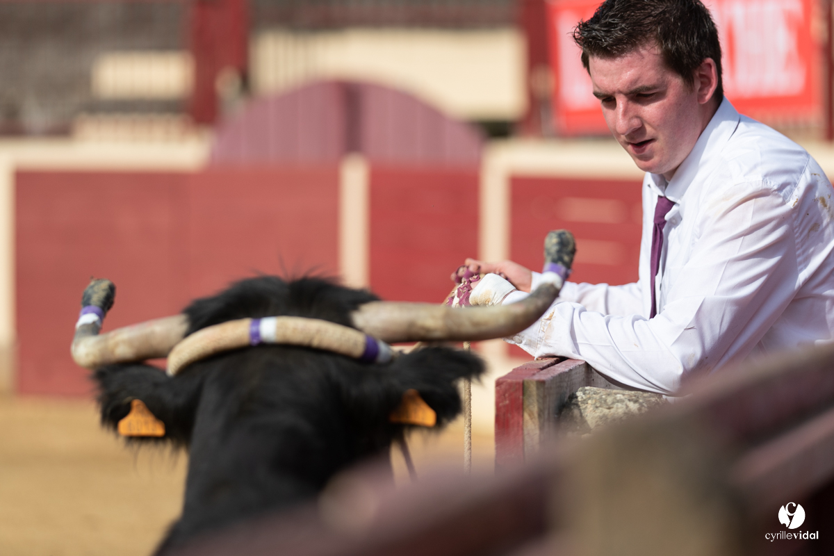 Course landaise Le Houga Ganadéria Dussau Cuadrilla Alexandre Brethes