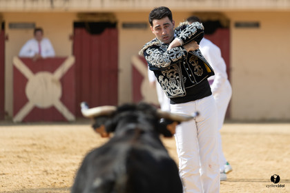 Course landaise Le Houga Ganadéria Dussau Cuadrilla Alexandre Brethes