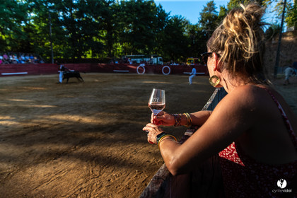 Course landaise à Panjas