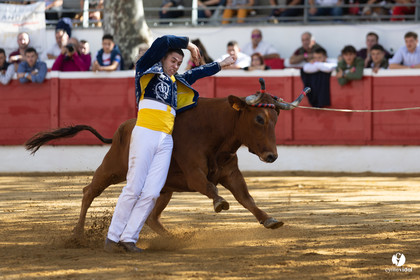 Nogaro Championnat de France de course landaise 2022