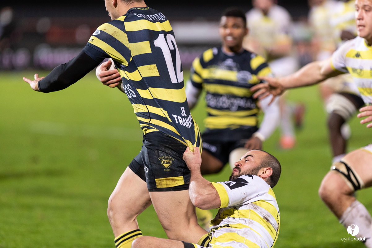 Stade Montois Rugby - Carcassonne