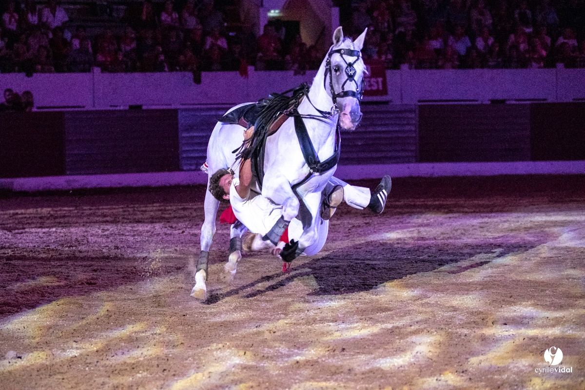 Landes émotions à Aire-sur-l'Adour