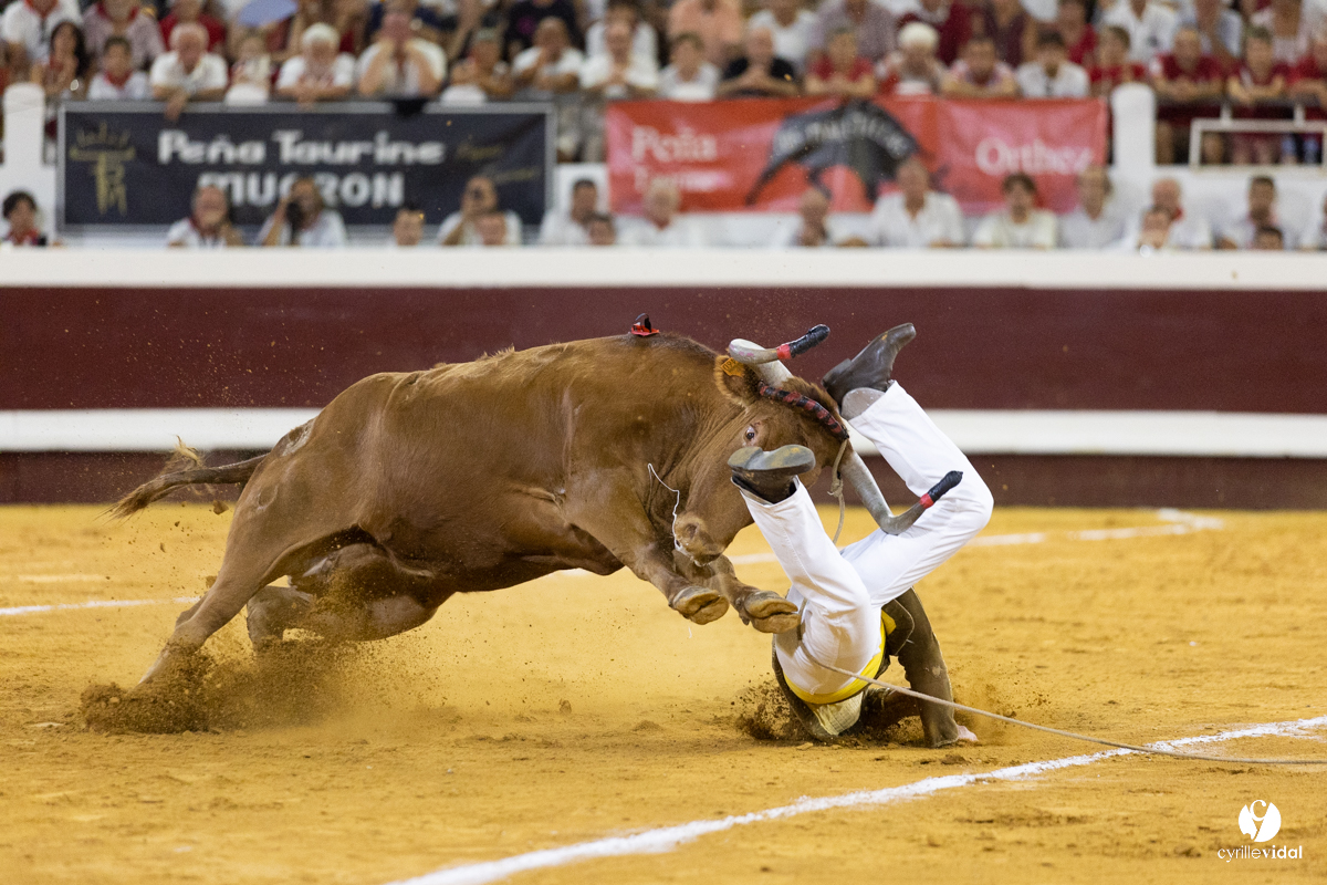 Dax concours landais 2022
