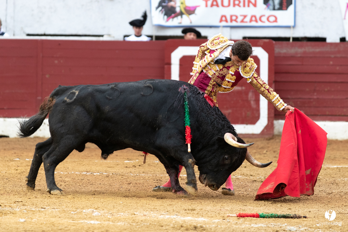Corrida d'Aire sur l'Adour