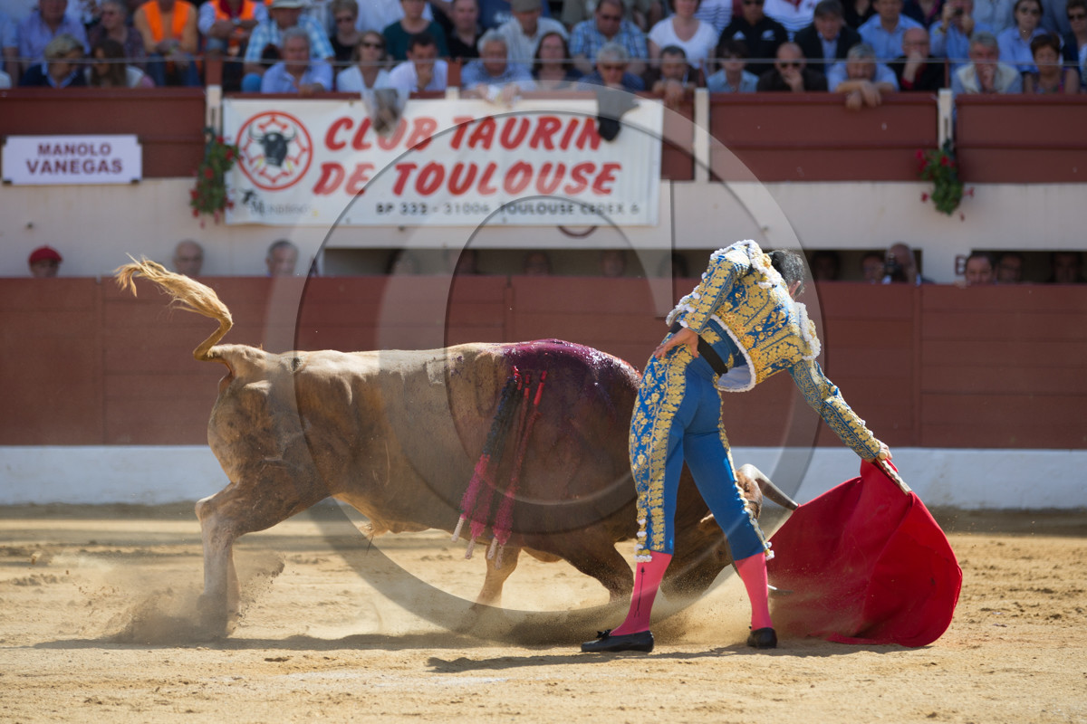 corrida, toro, vic fezensac, alcurrucen, michelito, morenito de aranda