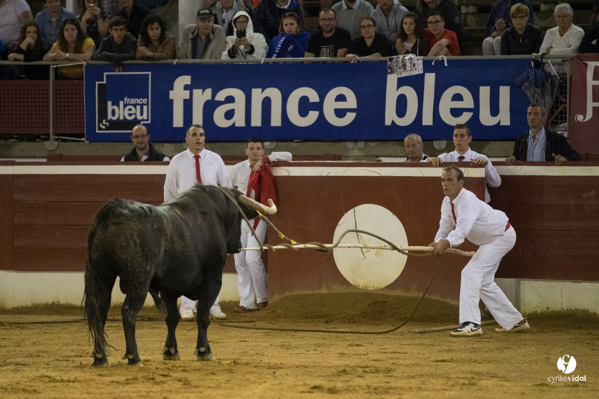 Mont-de-Marsan festival Art et Courage